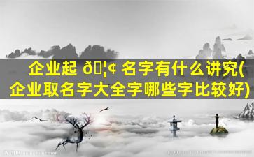 企业起 🦢 名字有什么讲究(企业取名字大全字哪些字比较好)